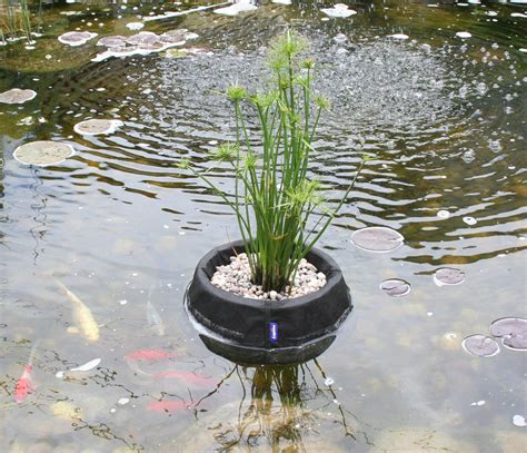 Laguna Floating Plant Basket, Small, 25 cm  10  . from ...