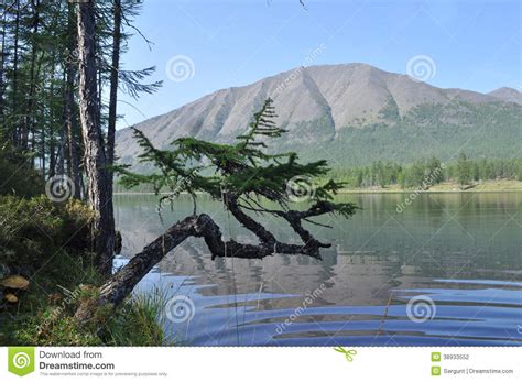 Lake And Reflections Of The Mountains Stock Photo   Image ...