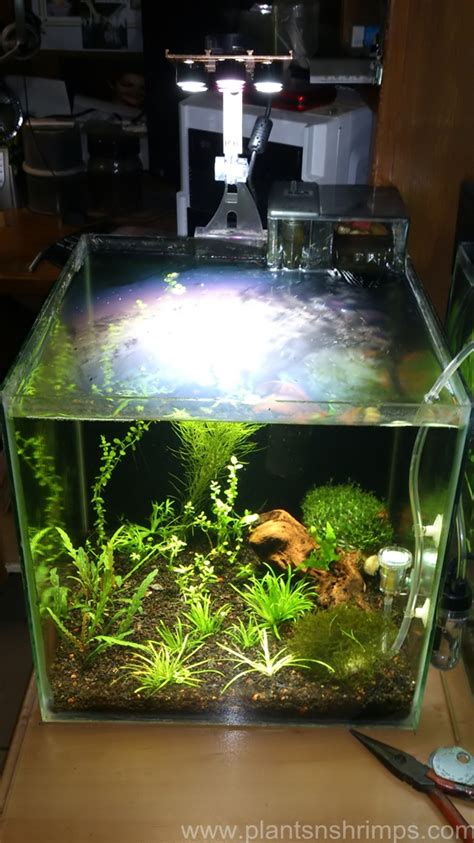 lampara led para acuario plantado   Plants & Shrimps!
