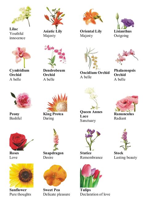 language of flower: different types of flowers