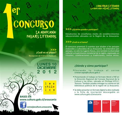 Lanzan concursos literarios en La Araucanía | Plan ...