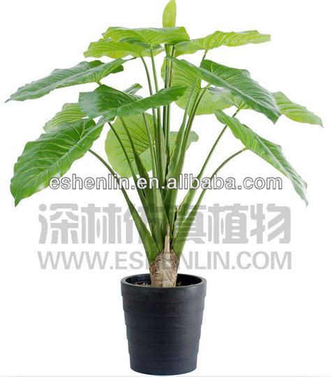 Large Green Leaf Plants,Artificial Scindapsus Aureus   Buy ...