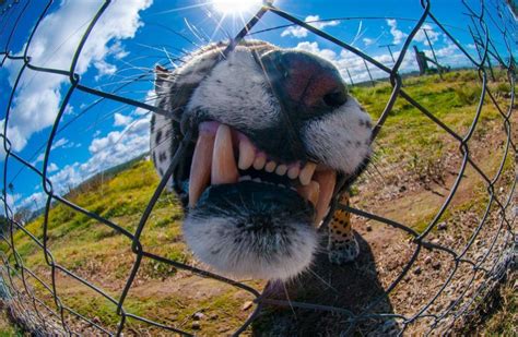 Las 25 mejores fotografias de National Geographic   Taringa!