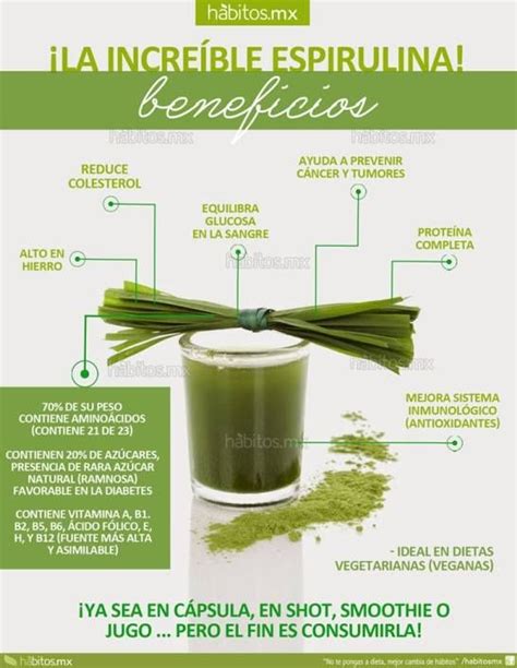 Las 25 mejores ideas sobre Espirulina en Pinterest y más ...