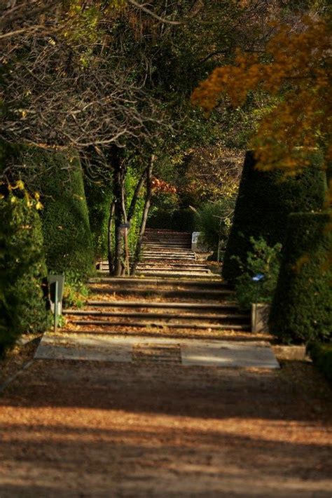 Las 25+ mejores ideas sobre Jardin botanico en Pinterest ...