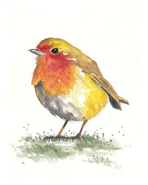 Las 25 mejores ideas sobre Pájaro De Acuarela en Pinterest ...