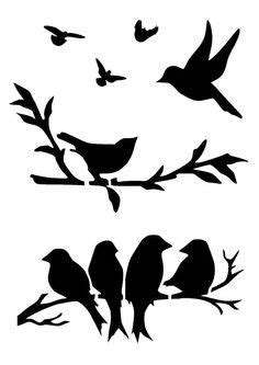 Las 25+ mejores ideas sobre Pájaros en Pinterest | Pájaros ...