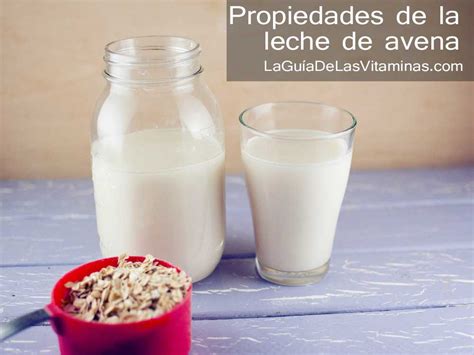 Las 5 mejores leches vegetales y sus beneficios   La Guía ...