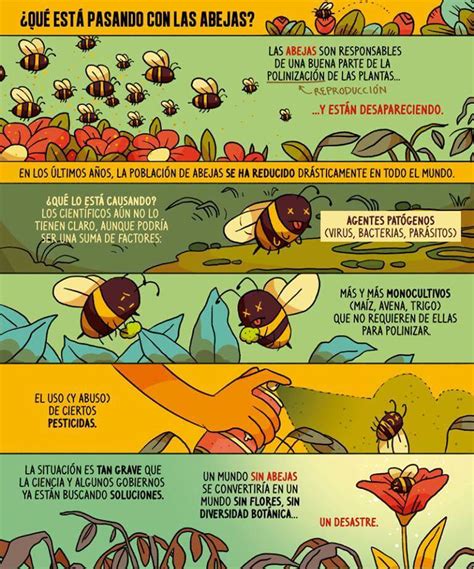 Las abejas   Definición, características, tipos y cómo se ...