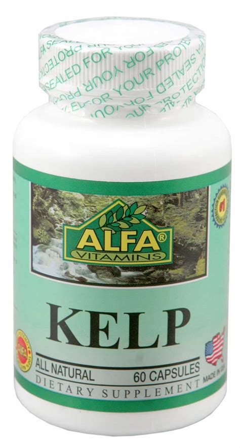 Las algas Kelp: Propiedades | SaludBio