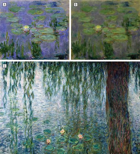 Las cataratas de Monet | Aryse