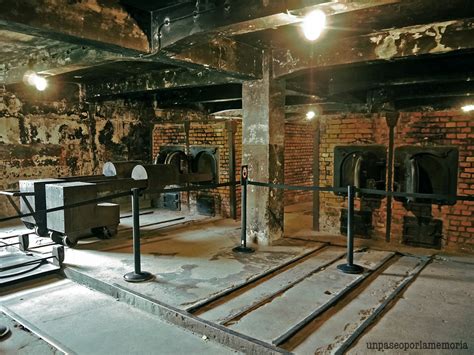 Las cenizas de Auschwitz Birkenau