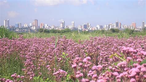 Las ciudades más importantes de Paraguay