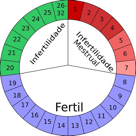 Las claves para calcular la ovulación