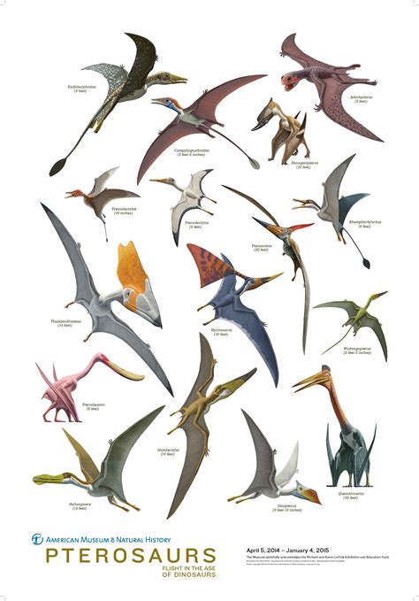 Las crias de Pterosaurio también necesitaban mimos