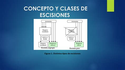 Las escisiones de las empresas   Monografias.com