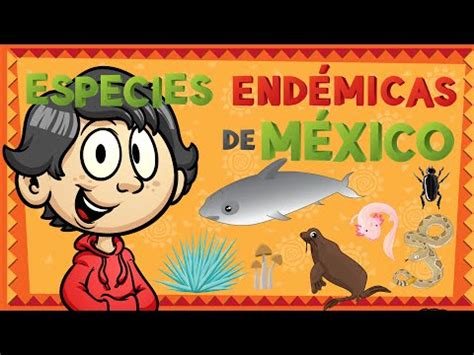 Las especies endémicas de México   YouTube