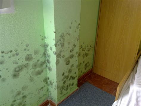 Las humedades en paredes | Murprotec