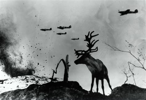 Las impactantes imágenes de la Segunda Guerra Mundial que ...