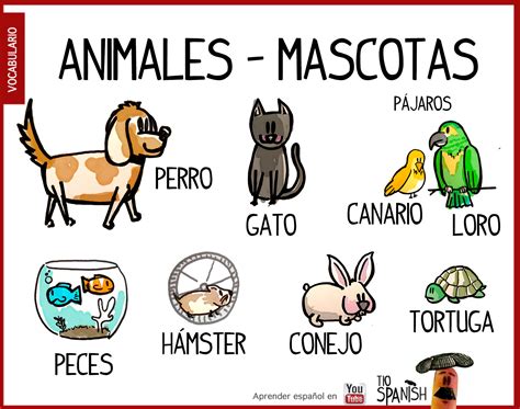 Las mascotas, animales domésticos en español. Vocabulario ...
