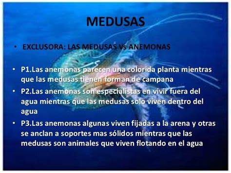 Las medusas