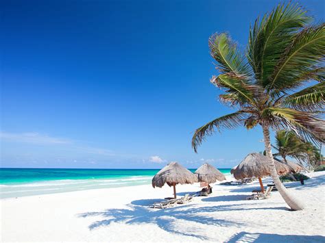 Las mejores excursiones en Playa del Carmen y Cancún