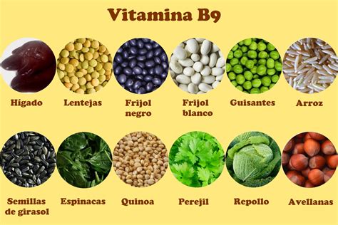 Las mejores vitaminas para el cerebro | Mejores © , el ...