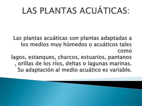 Las plantas acuaticas