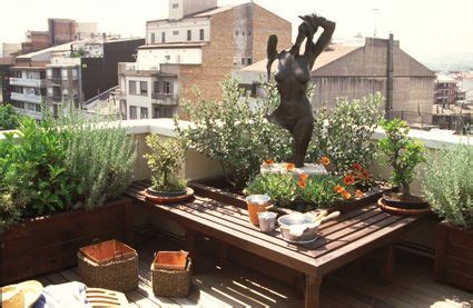 Las plantas de la terraza | eljardinonline.es