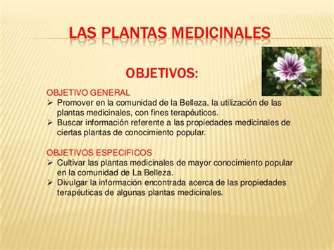 Las plantas medicinales