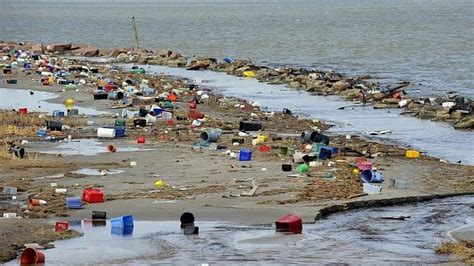Las playas y los peces contaminados por el plástico ...