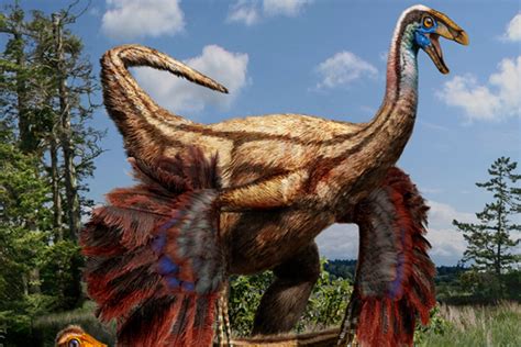 Las plumas de los dinosaurios tenían varios colores antes ...