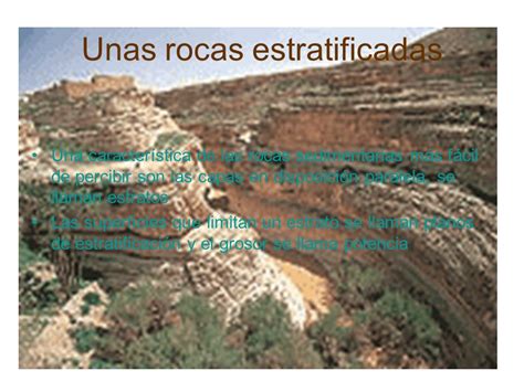 Las rocas sedimentarias y su origen ppt descargar