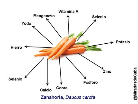 Las saludables zanahorias con nutritivas recetas