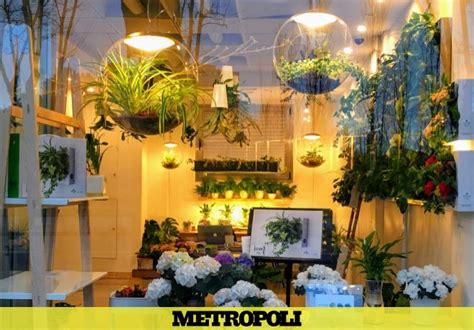 Las tiendas de flores y plantas más especiales de Madrid ...