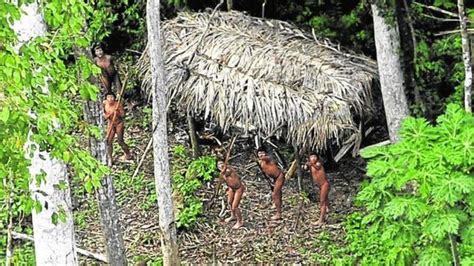 Las últimas tribus aisladas del Amazonas abandonan su ...
