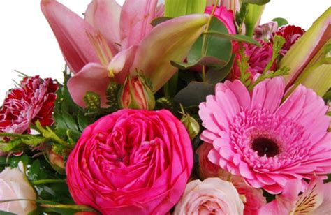 Las ventajas de enviar flores a domicilio |Floresyplantas.net
