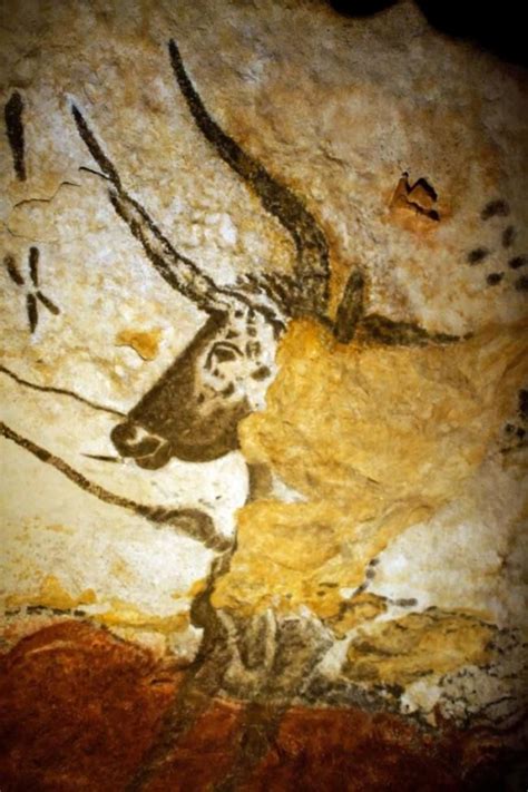 Lascaux cave paintings | Ancient | Pinterest