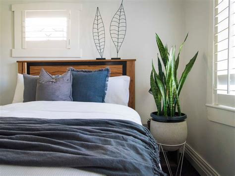 Leaf love: The best plants to grow in your bedroom