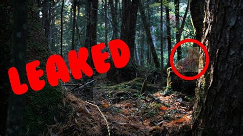 LEAKED LOGAN PAUL SUICIDE FOREST FOOTAGE!   YouTube