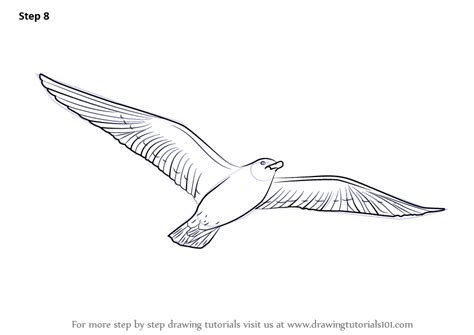 Learn How to Draw a Flying Bird  Birds  Step by Step ...