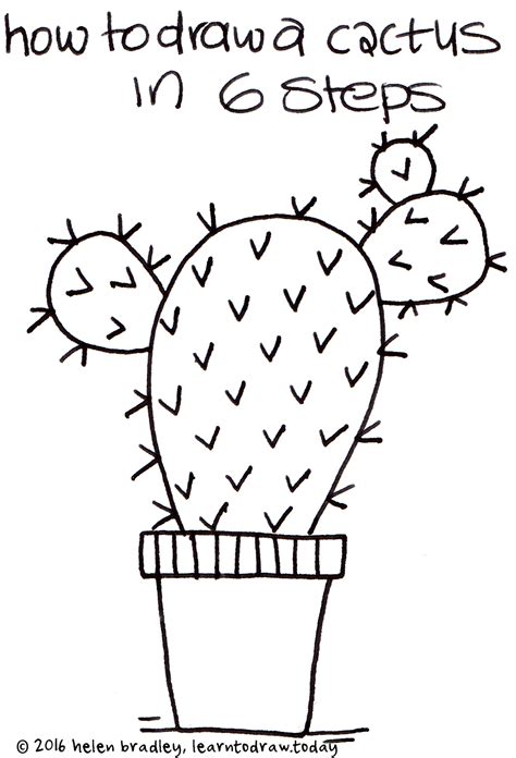Learn to Draw a Cactus in 6 Steps : Learn To Draw