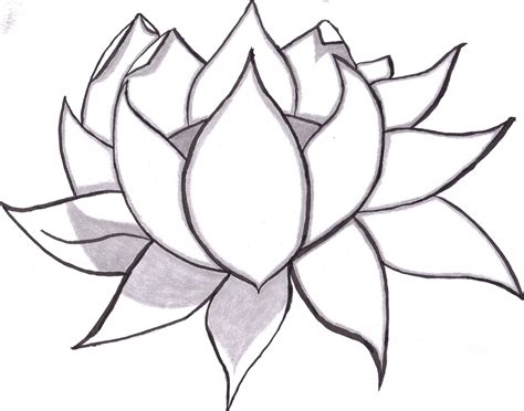 Learn to draw flowers of all kinds, from simple daisies to ...