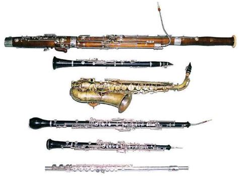 Learning Musical Instrument: Woodwind Family