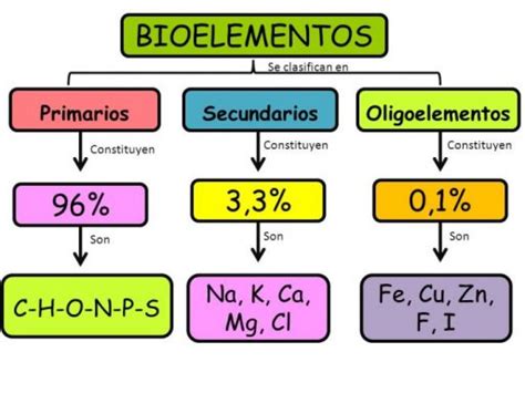 Lección 1.1: Los Bioelementos – BIOLOCUS