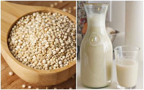 Leche de Quinoa ⇒ Receta Casera, Propiedades, Beneficios y ...