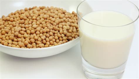 Leche de soja: sus propiedades nutricionales   NUTRICIENTA