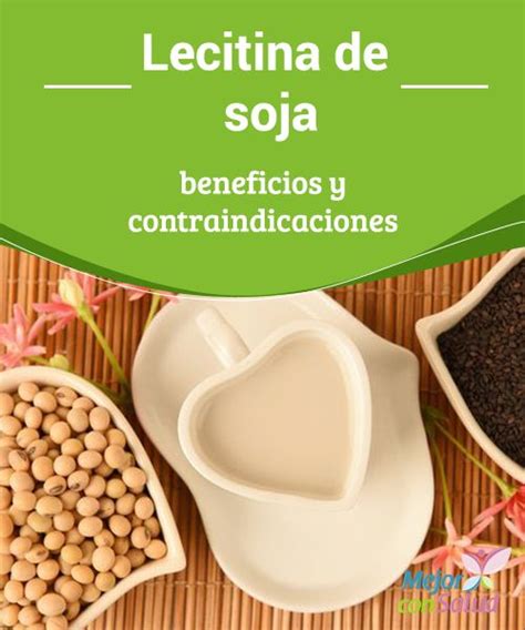 Lecitina de soja: beneficios y contraindicaciones ...