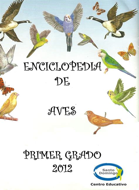 Lengua: “Enciclopedia de Aves” | Picos,patas y plumas
