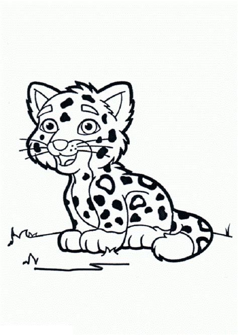 Leopardo para colorear   Dibujos para colorear